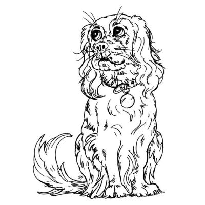 Digi Stamp - Cavalier King Charles Spaniel