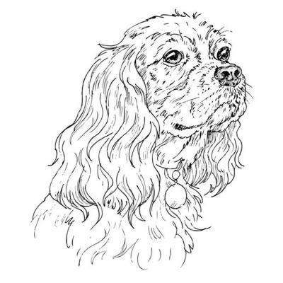 Digi Stamp - Cavalier King Charles Spaniel Bust