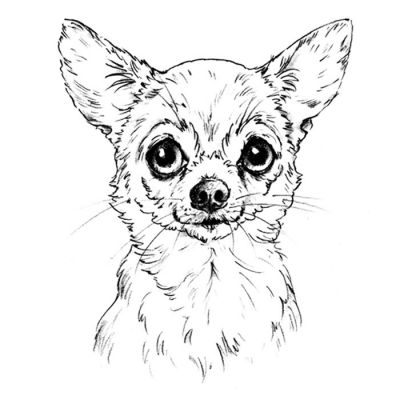Digi Stamp - Chihuahua Bust