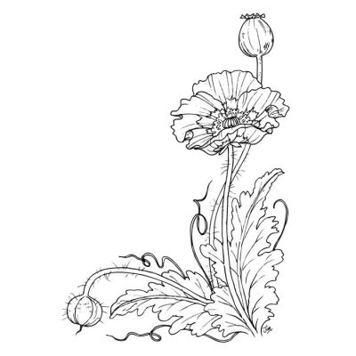 Digi Stamp - Corner Poppy