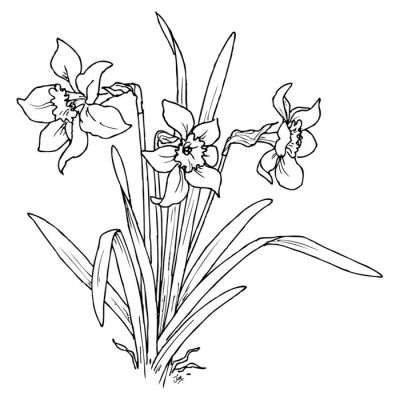 Digi Stamp - Daffodil Patch