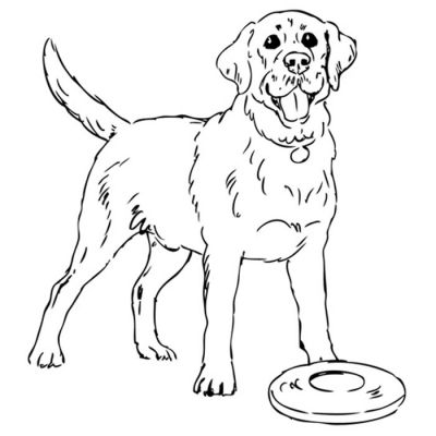 Digi Stamp - Frisbee Labrador