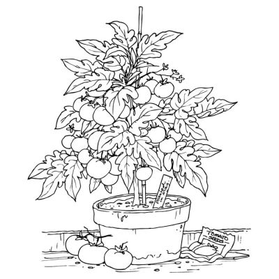 Digi Stamp - Grow Your Own