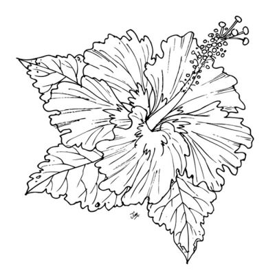 Digi Stamp - Hibiscus