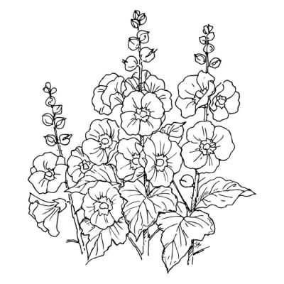 Digi Stamp - Hollyhocks