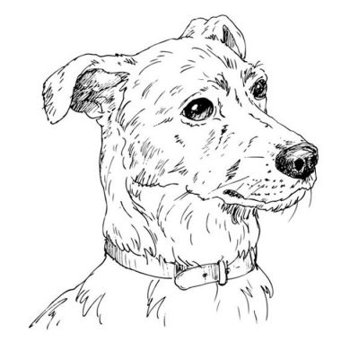 Digi Stamp - Jack Russell Bust