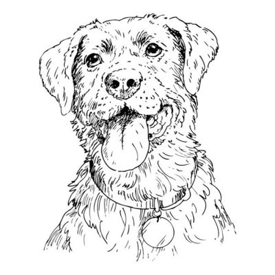 Digi Stamp - Labrador Bust