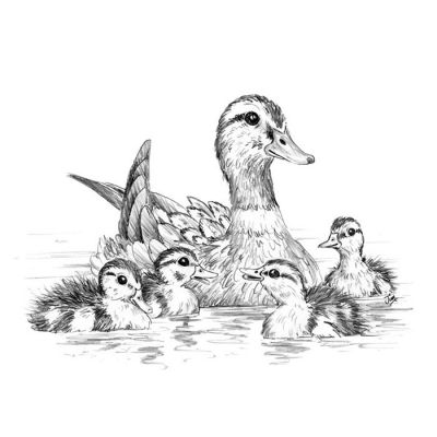 Digi Stamp - Love A Duck