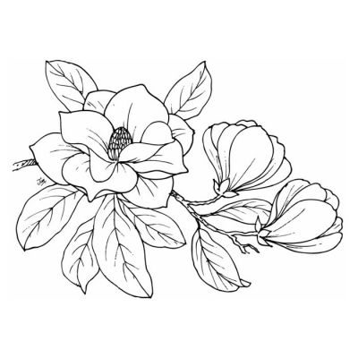 Digi Stamp - Magnolia