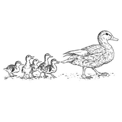 Digi Stamp - Mother Duck