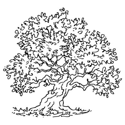 Digi Stamp - Oak Tree