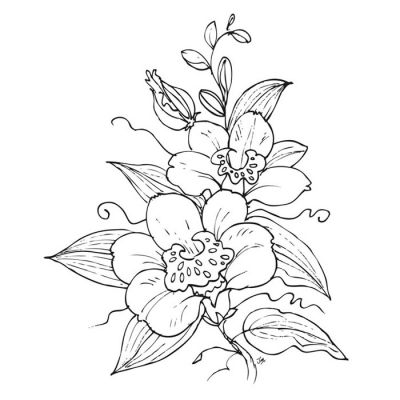 Digi Stamp - Orchids