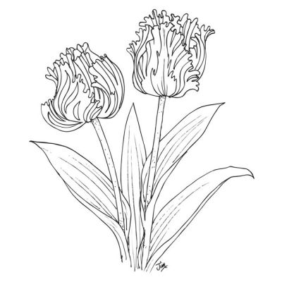 Digi Stamp - Parrot Tulips