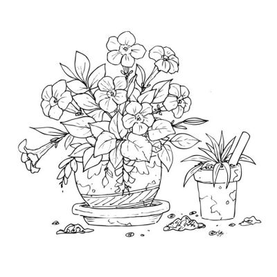 Digi Stamp - Petunias