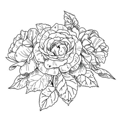 Digi Stamp - Rose Bloom