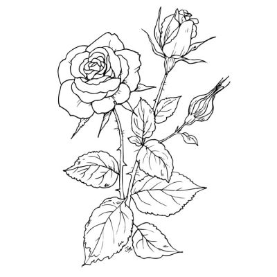 Digi Stamp - Rose Vase