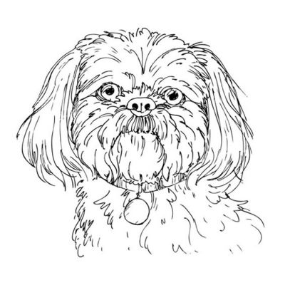 Digi Stamp - Shih Tzu Bust