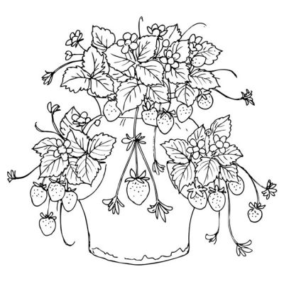 Digi Stamp - Strawberry Pot