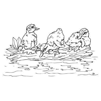 Digi Stamp - Water Off A Ducks Back