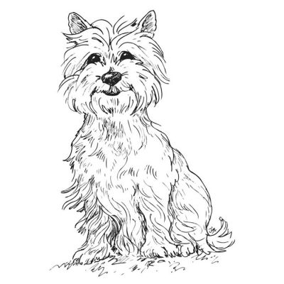 Digi Stamp - West Highland Terrier Monarch Of The Glen