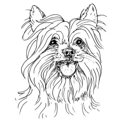 Digi Stamp - Yorkshire Terrier Bust