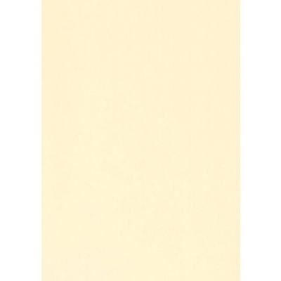 Vanguard A4 Card Pack - Ivory